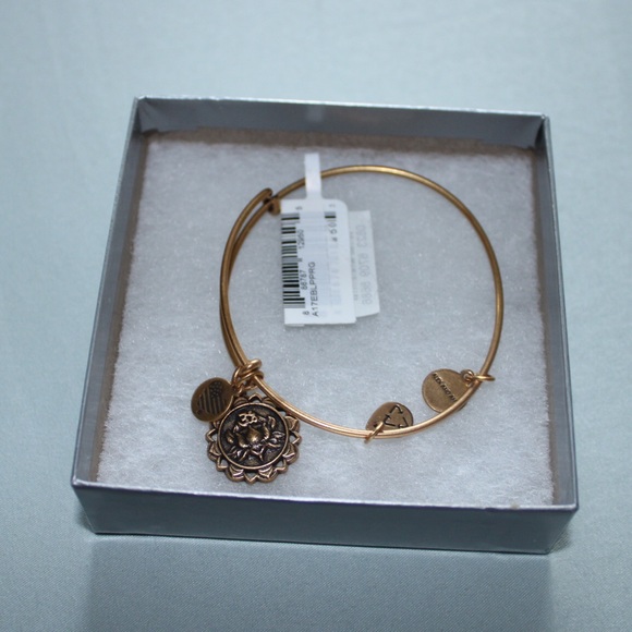 Alex and Ani Jewelry - BNWT Alex And Ani Bracelet